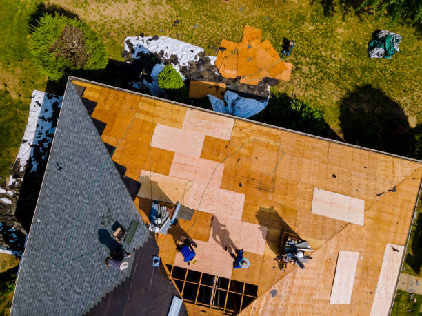 Best Roof Gutter Cleaning  in El Dorado, KS